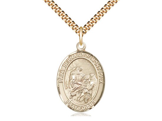 St Bernard of Montjoux Gold Filled Pendant on a 24 inch Gold Plate Heavy Curb Chain.
