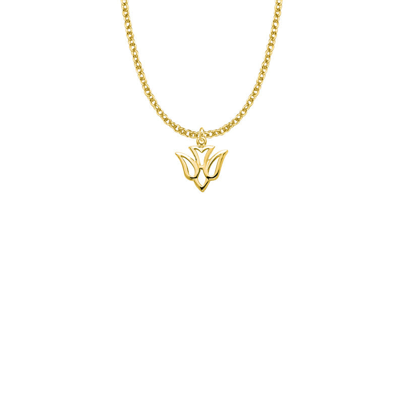 9/16 Inch Gold Plated Over Sterling Silver Pierced Outline Dove Necklace