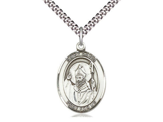 St David of Wales Sterling Silver Pendant on a 24 inch Light Rhodium Heavy Curb Chain.