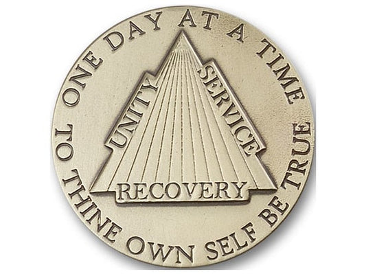Recovery Visor Clip