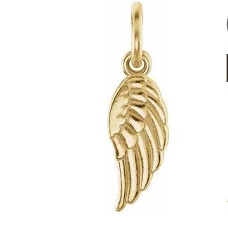 Sterling Silver 19.7x5.5 mm Angel Wing Charm