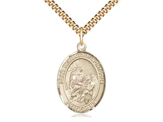 St Bernard of Montjoux Gold Filled Pendant on a 24 inch Gold Plate Heavy Curb Chain.
